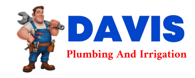 Trusted plumber in CARUTHERSVILLE